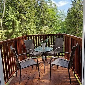  Apartament Przy Lesie Polska